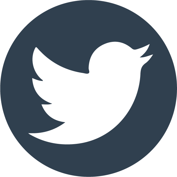 View Lonely Porpoise Studios on Twitter